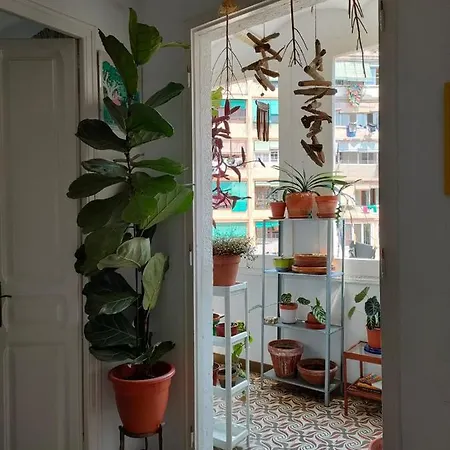 Appartement Pequeno Y Encantador Oasis En *