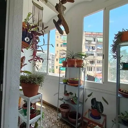Apartment Pequeno Y Encantador Oasis En Barcelona