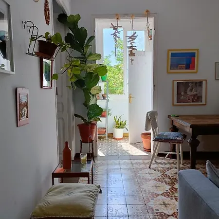 Apartamento Pequeno Y Encantador Oasis En *